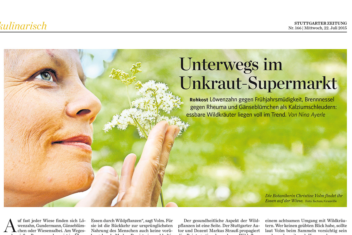 Artikel Stuttgarter Zeitung