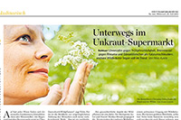 Artikel Stuttgarter Zeitung
