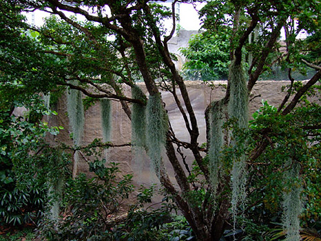 Gondwanaland Leipzig 2011