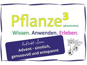 Pflanzehochdrei